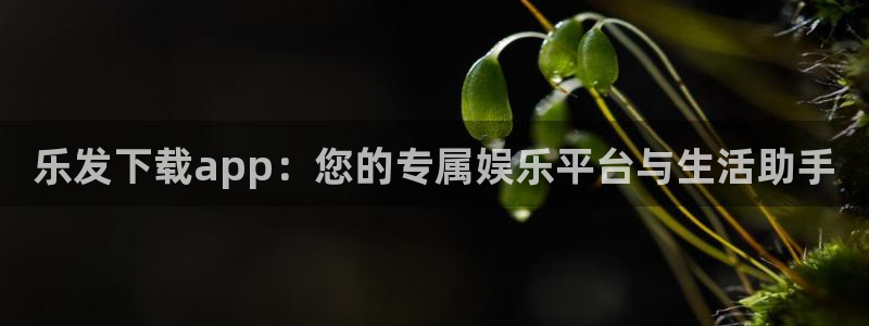 不朽情缘mg