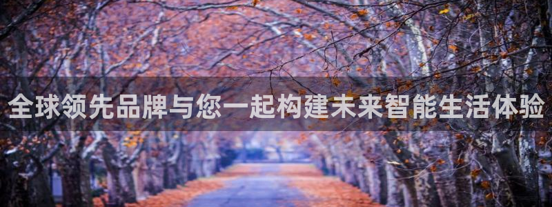 mg不朽情缘怎么下载