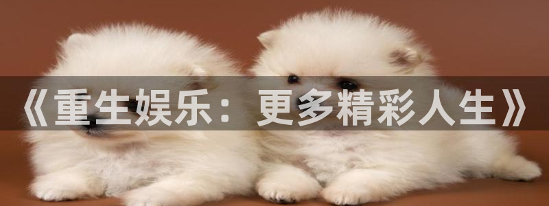 mg不朽情缘讲解