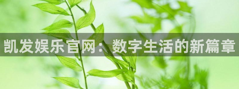 mg不朽情缘官网