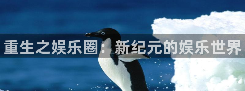 mg电子不朽情缘