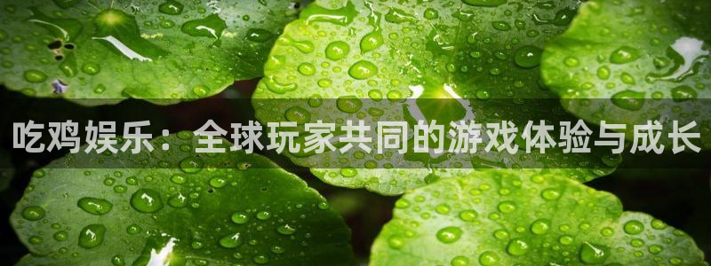 不朽情缘官方网站下载