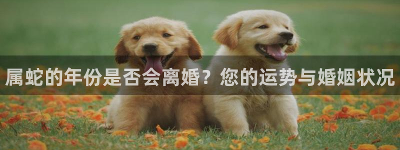 不朽情缘30块四滴血