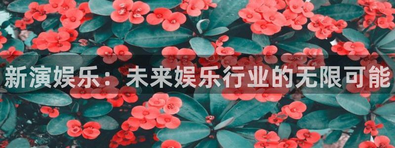 mg游戏不朽情缘在线