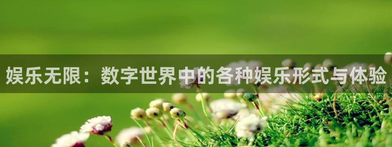 mg不朽情缘怎么玩
