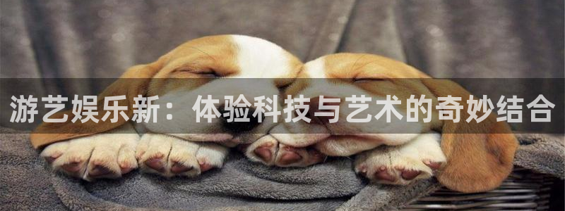 不朽情缘5滴血70万