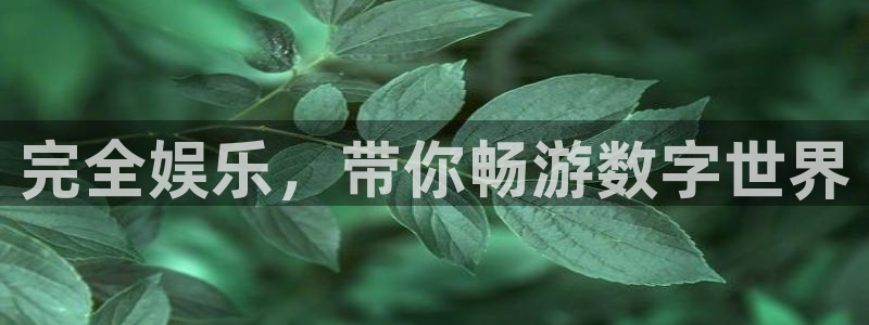 mg不朽情缘爆分技巧