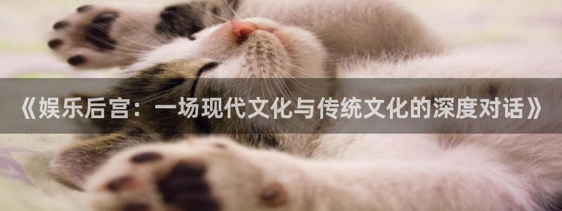 不朽情缘官方网站下载