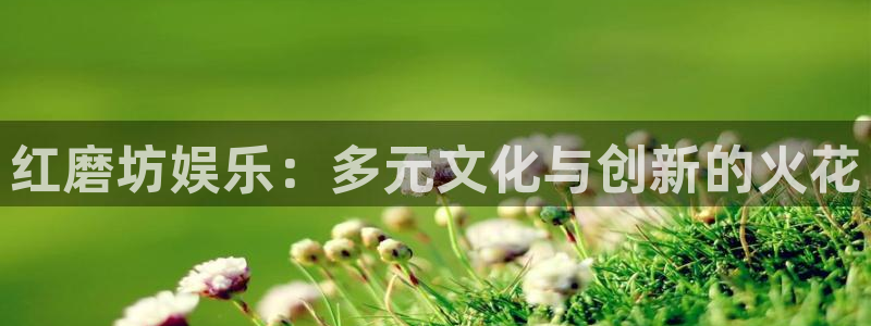 mg不朽情缘怎么玩