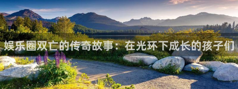不朽情缘最新app下载：娱乐圈双亡的传奇故事：在光环下成长的孩子们