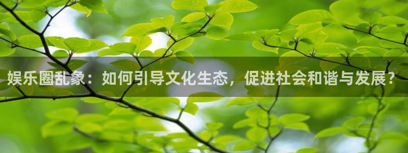 mg不朽情缘五滴血：娱乐圈乱象：如何引导文化生态，促进社会和谐与发展？